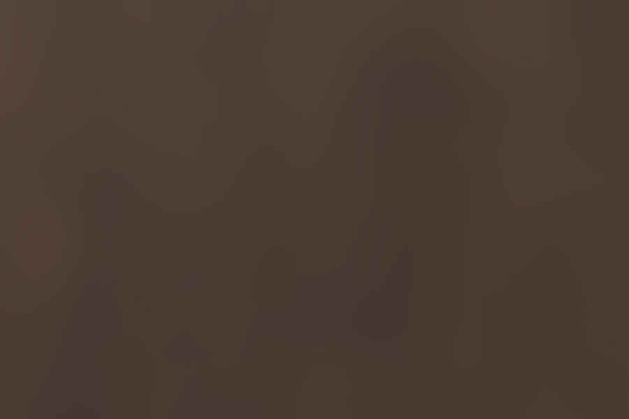 cocoa brown color texture