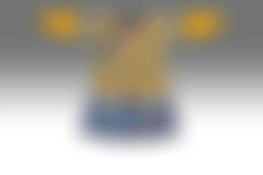 Imperial Yellow Chinese Emperor robe