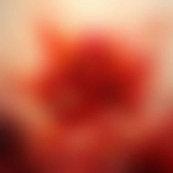 A Study in Scarlet: The Power and Passion Behind the Color Red