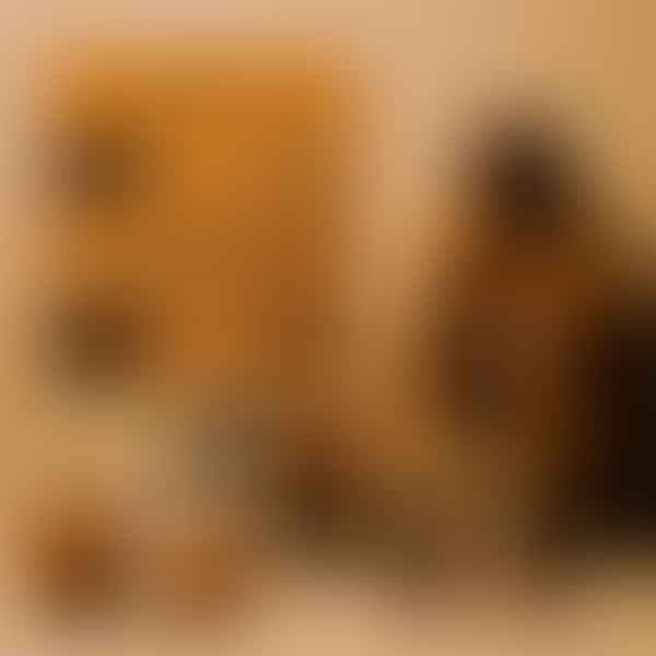Brown Color Psychology: Stability, Comfort, and Reliability in Everyday Life