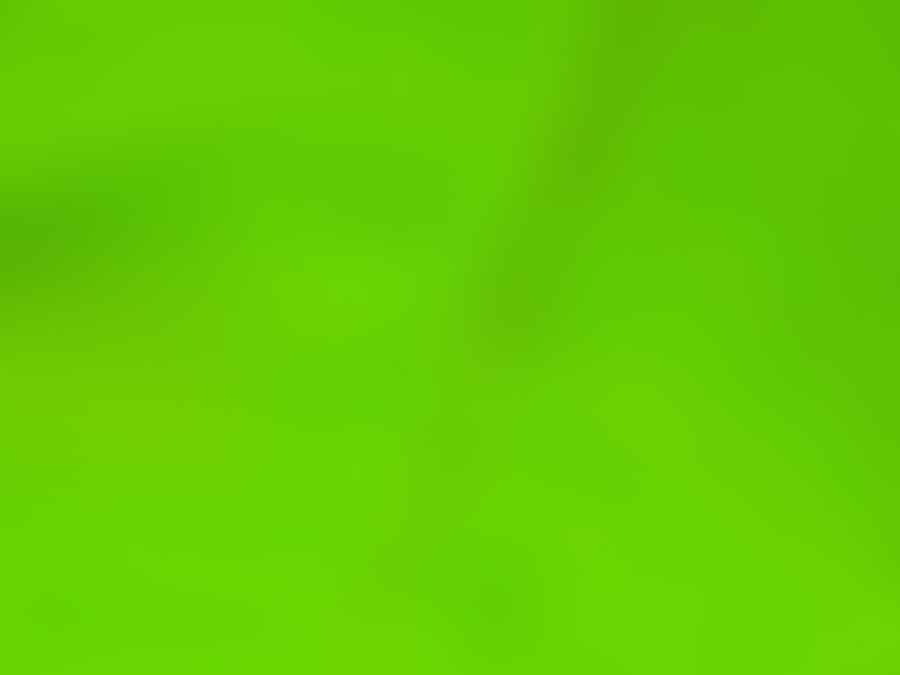 A collage of green objects symbolizing envy and growth