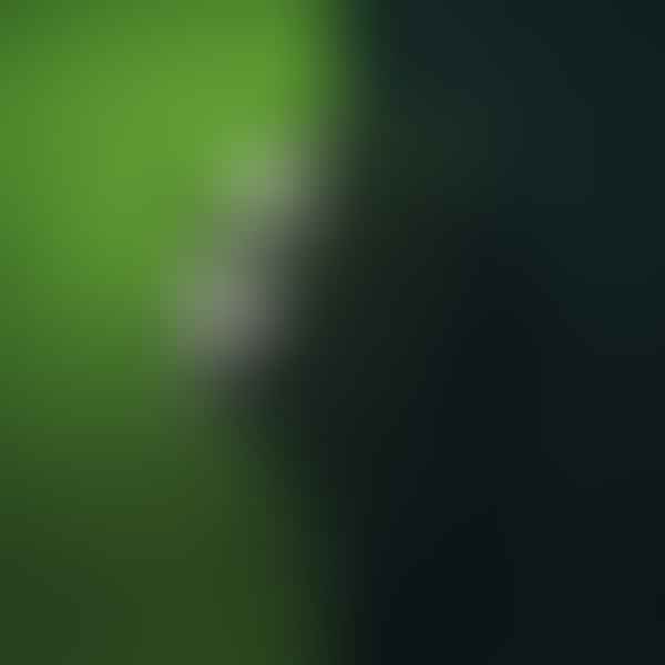 Green with Envy or Growth? Understanding the Dual Meanings of the Color Green
