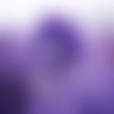 Revealing the Rich Symbolism and Psychology of the Color Lavender