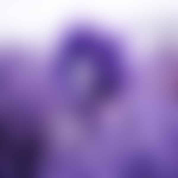 Revealing the Rich Symbolism and Psychology of the Color Lavender