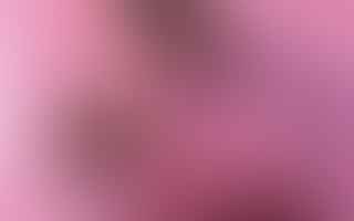 The Color Pink in Relationships: What It Says About You and Your Partner