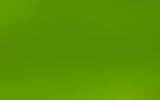 The Psychology Behind the Color Green and Its Symbolism