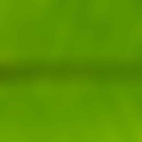 The Psychology Behind the Color Green and Its Symbolism