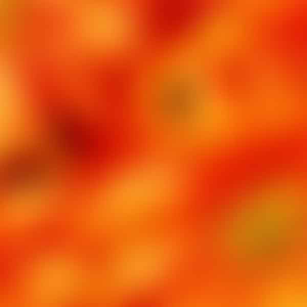 Uncovering the Hidden Meanings Behind the Color Orange