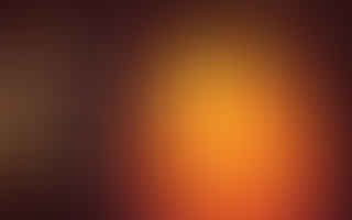 What is a color scheme?